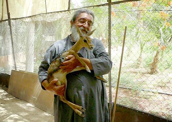 отец Хризостом